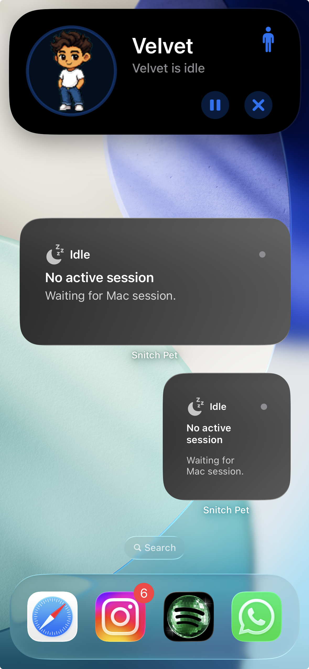 SnitchPet iPhone home screen widgets and Dynamic Island stack